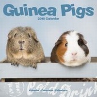 Abbildung von: Guinea Pigs Calendar 2018 - Avonside Publishing Ltd