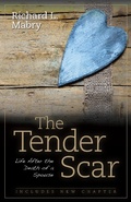 Cover: Tender Scar - Kregel Publications