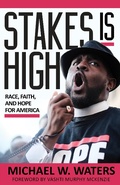 Cover: Stakes Is High - Chalice Press