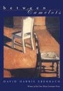 Cover: Between Camelots - University of Pittsburgh Press