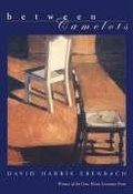 Cover: Between Camelots - University of Pittsburgh Press