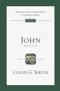 Cover: John: Volume 4 - IVP Academic