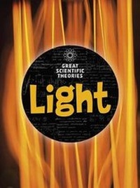Enlarge image Cover: Light - Raintree