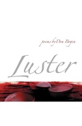 Cover: Luster - Wesleyan University Press