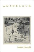 Cover: Anabranch - Wesleyan University Press