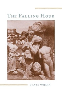 Enlarge image Cover: The Falling Hour - University of Pittsburgh Press