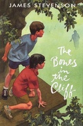 Cover: The Bones in the Cliff - HarperCollins