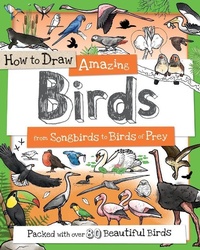 Enlarge image Cover: How to Draw Amazing Birds - Sourcebooks Wonderland
