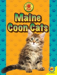 Enlarge image Cover: Maine Coon Cats - Av2