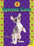Cover: Sphynx - Av2