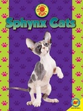 Cover: Sphynx - Av2