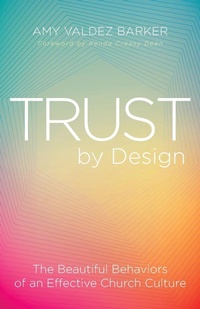 Enlarge image Cover: Trust by Design - Abingdon Press