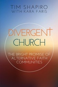 Cover: Divergent Church - Abingdon Press