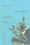 Cover: Pulling A Dragon's Teeth - University of Pittsburgh Press