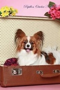 Cover: Papillon October Notebook Papillon Record, Log, Diary, Special Memories, To Do List, Academic Notepad, Scrapbook & More - Global Pet Care International