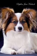 Cover: Papillon June Notebook Papillon Record, Log, Diary, Special Memories, To Do List, Academic Notepad, Scrapbook & More - Global Pet Care International