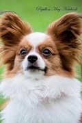 Cover: Papillon May Notebook Papillon Record, Log, Diary, Special Memories, To Do List, Academic Notepad, Scrapbook & More - Global Pet Care International