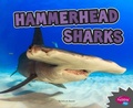 Cover: Hammerhead Sharks - Capstone Press, Incorporated