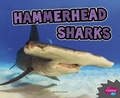 Cover: All About Sharks Hammerhead Sharks - Capstone Press