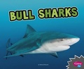 Cover: All About Sharks Bull Sharks - Capstone Press