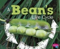Cover: A Bean's Life Cycle - Capstone Press, Incorporated