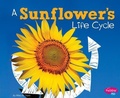 Cover: Explore Life Cycles Sunflowers Life Cycle - Capstone Press