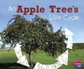 Cover: Explore Life Cycles an Apple Trees Life Cycle - Capstone Press