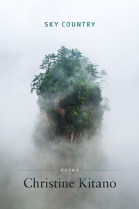 Enlarge image Cover: Sky Country - BOA Editions, Limited