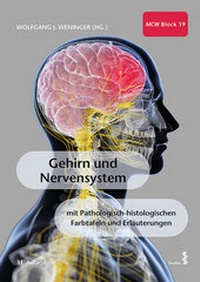 Abbildung von: Gehirn und Nervensystem - Facultas