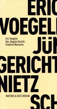 Cover: Das J&uuml;ngste Gericht: Friedrich Nietzsche - Matthes & Seitz Berlin