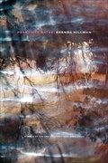 Cover: Practical Water - Wesleyan University Press