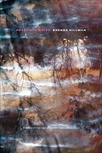 Enlarge image Cover: Practical Water - Wesleyan University Press