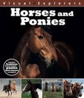 Cover: Horses and Ponies - Green Android Limited