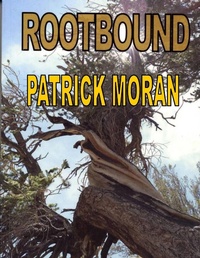 Enlarge image Cover: Rootbound - Lulu.com