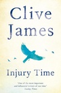 Cover: Injury Time - Picador