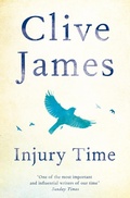 Cover: Injury Time - Picador