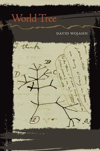 Enlarge image Cover: World Tree - University of Pittsburgh Press