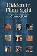 Cover: Hidden in Plain Sight - Wesleyan University Press