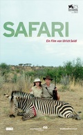 Cover: Safari - Hoanzl