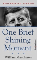 Cover: One Brief Shining Moment - RosettaBooks