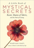Cover: A Little Book of Mystical Secrets - Hampton Roads Publishing