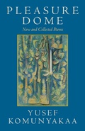 Cover: Pleasure Dome - Wesleyan University Press
