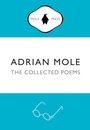 Cover: Adrian Mole: The Collected Poems - Penguin Books Ltd