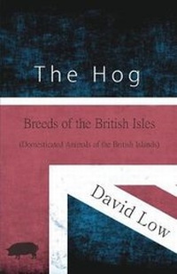 Abbildung von: The Hog - Breeds of the British Isles (Domesticated Animals of the British Islands) - HOME FARM BOOKS