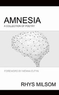 Cover: Amnesia - Accent Press Ltd