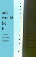 Cover: any would be if - Chax Press
