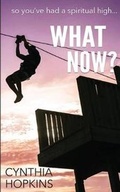 Cover: What Now? - Bold Vision Books