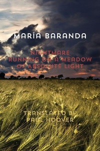 Enlarge image Cover: Nightmare Running on a Meadow of Absolute Light - Shearsman Books