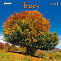 Enlarge image Cover: Trees 2018 - Tushita PaperArt GmbH