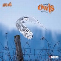 Enlarge image Cover: Magic Owls 2018 - Tushita PaperArt GmbH